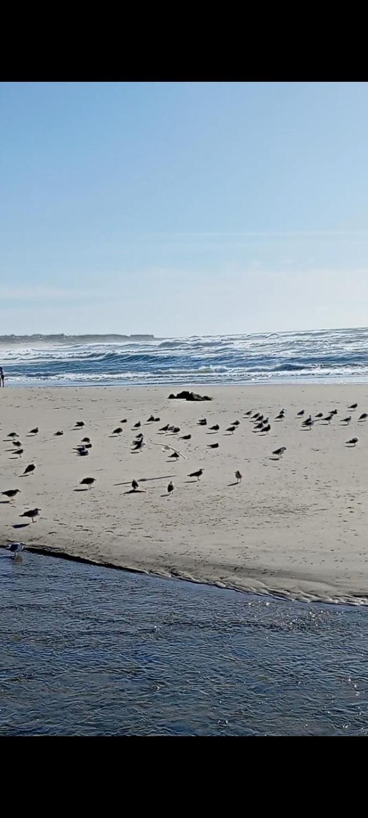 Atico Maravilloso En Cangas , Vigo المظهر الخارجي الصورة